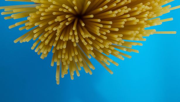 A composition of spaghetti, italian food