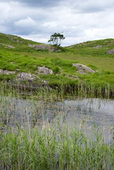 river reeds and lake on the kerry way in irelands wild atlantic way