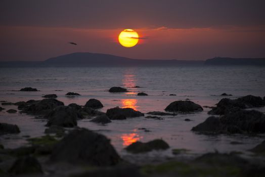 sea gulls flying near ballybunion on the wild atlantic way ireland with a beautiful red sunset