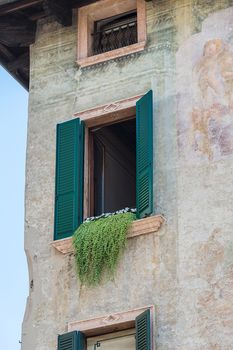 old window in the house with flowers