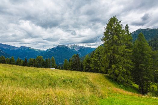 landscape of the Alps in Italy summer