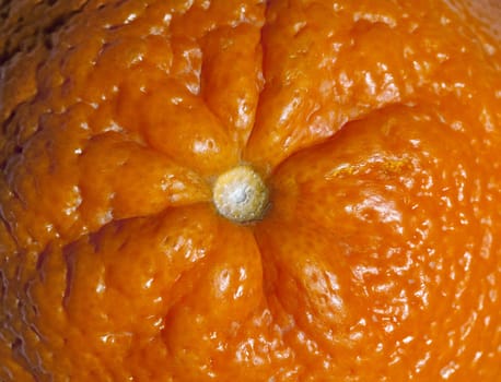 Close-up of ripe tangerine for background, macro shot