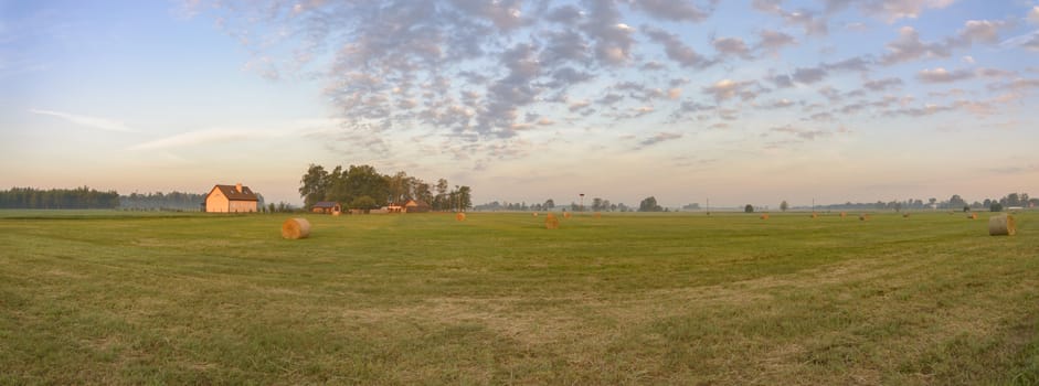 agricultural field, nature and agriculture farming series