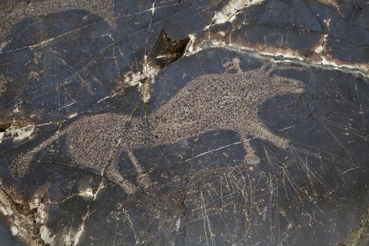 Ancient petroglyph carved in rock, Sarmishsay, Uzbekistan