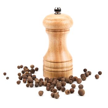 allspice, and a mill for grinding on a white background