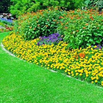 Beautiful flowerbed in summer park