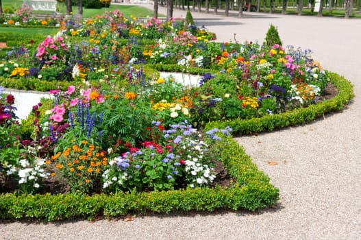 delightful flower bed in the summer park