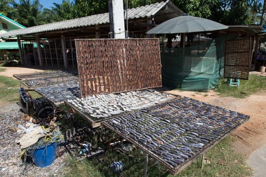 Homemade Dried Fish with Sunlight on table