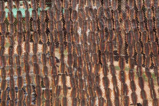 Homemade Dried Fish with Sunlight