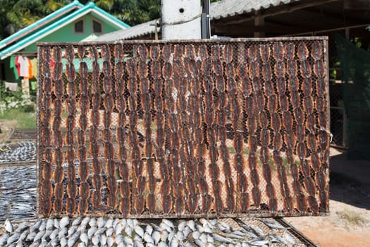 Homemade Dried Fish with Sunlight