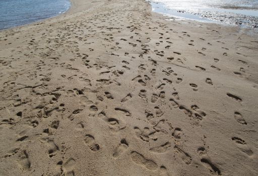 Footprints at Golden Scale Dragon Spine Beach in Palian, Trang can see when low tide - Unseen Thailand