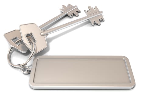 Two door keys and rectangular blank label on ring. 3D illustration, isolated on white background