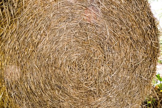 Round bale of straw close-up

