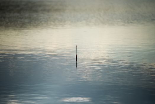 Fishing Bobber on the water. Fishing.