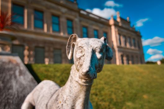 A stone dog on front of 19th Century Stately Home, Brodsworth, South Yorkshire.