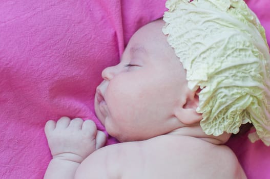 Little baby sleeps under cabbage leave