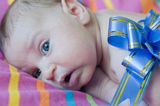 Baby lays with blue gift bow