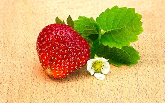 freshly picked ripe red strawberries with leaves and flower on a wooden background
