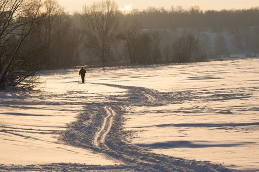 lonely distant skier siholuette, winter day forest