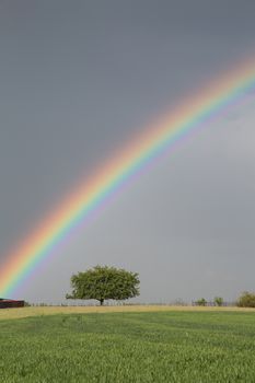 Natural rainbow over green field and dark sky