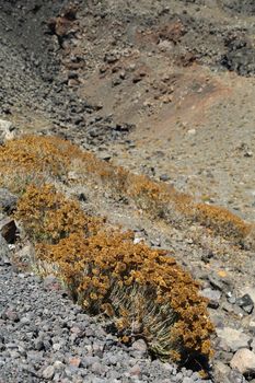 The volcanic island Nea Kameni in Santorini, Greece 