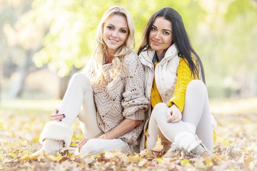Two cheerful women sitting on dry leaves in autumn park at sunny day