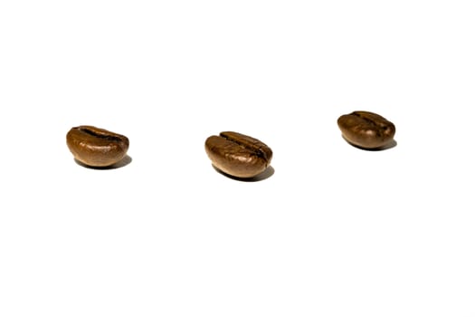 Three beans close up in a white background