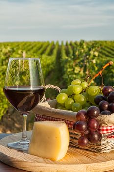 Closeup of glass of red wine with grapes in a basket and cheese in front of a vineyard