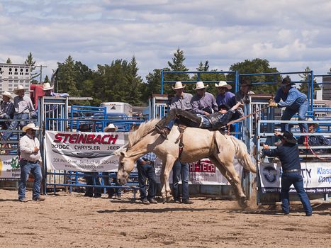 Rodeo.  Cowboy trying to hold on to a wild horse.  Winnipeg.  Canada