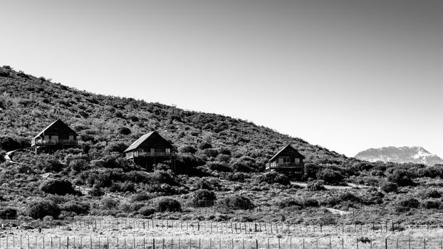 The Travelling Tortoise is situated just outside of De Rust.

The off-the-grid eco resort comprises of two mountain chalets, which both feature fully equipped kitchens, lounges with sleeper couches and large decks with braai facilities. The property also offers guests a swimming pool and parking on the premises.

De Rust has many great attractions in and around the area, such as the Kammanassie Nature Reserve, the Cango Caves and the Little Karoo Wine Route.