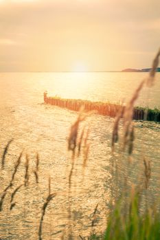 An image of the breakwater in the ocean.