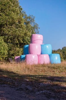 Colorful Large Round Bale Silage