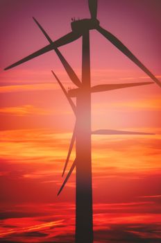 Wind turbine farm with rays of light at sunset