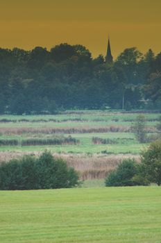 An image of green grass background