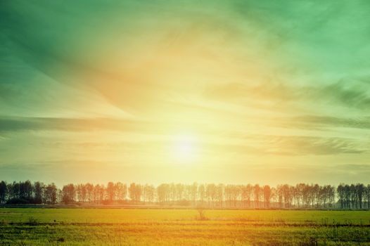 an image of spring landscape