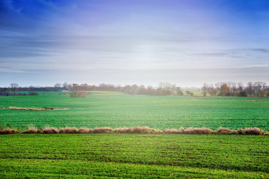 an image of spring landscape