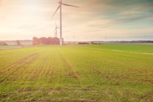 Wind turbine farm with rays of light at sunset