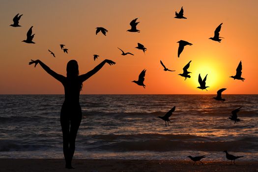 Learning to fly abstract concept with silhouettes of woman and birds at sunrise