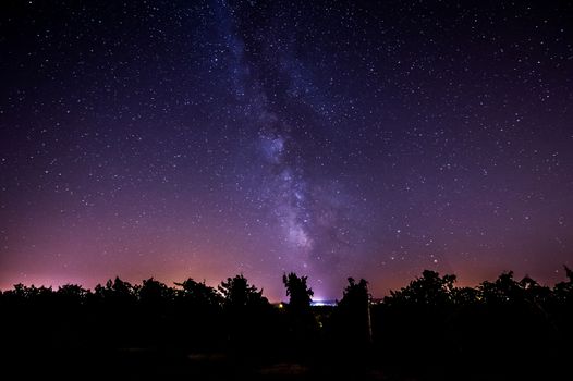 Grape field in the night, Bordeaux Wineyard, France