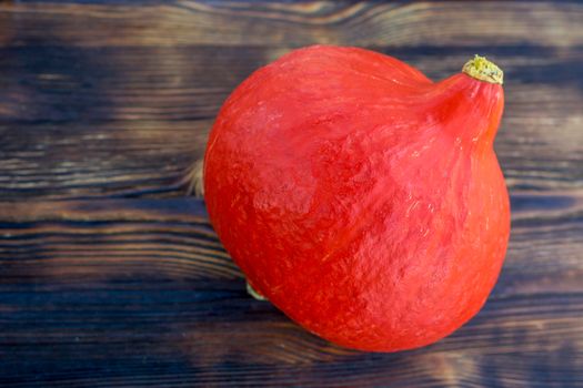 Red orange pumkin with hard rind laying diagonally on dark brown wooden background