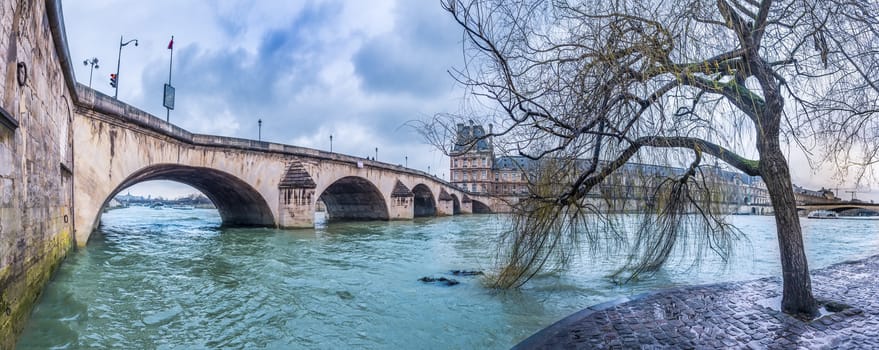 Cloudy day in Paris with a willow on the shore of the Seine River and the bridge Pont Royal, in France.