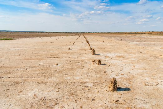 Petrified tree stubs on the bank of the salty lake, Kuyalnik, Ukraine