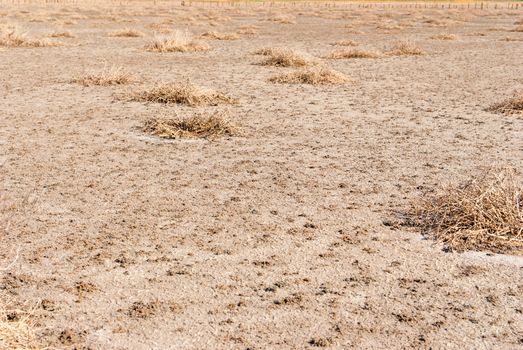 Dried salt lake Kuyalnik shore , Ukraine