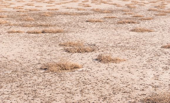 Dried salt lake Kuyalnik shore , Ukraine