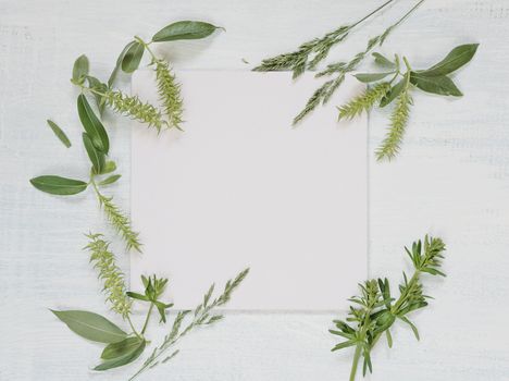 White wedding or family photo album, frame with fresh branches and herbs on light wooden background; top view, flat lay, overhead view