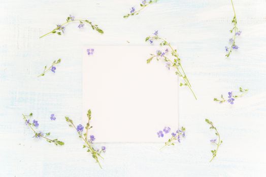 Scrapbooking page of wedding or family photo album, frame with fresh blue flowers on light wooden background; top view, flat lay, overhead view