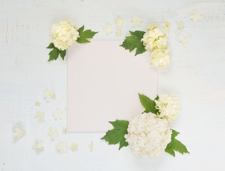 Scrapbooking page of wedding or family photo album, frame with fresh white flowers and green leaves on light wooden background; top view, flat lay, overhead view