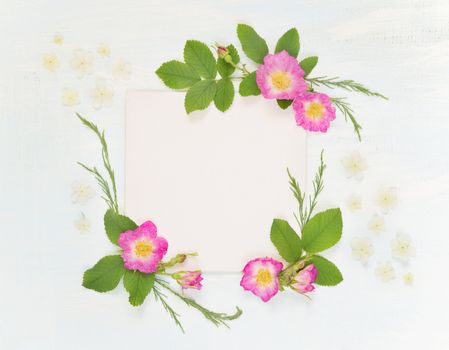 Scrapbook page of wedding or family photo album, frame with wild rose, white flowers and green leaves on light wooden background; top view, flat lay, overhead view