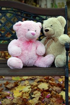 Two teddy bears on a bench in autumn park