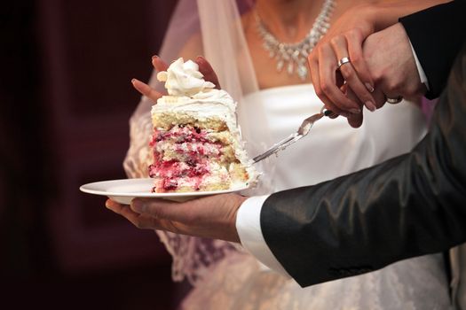 The groom and the bride cut a wedding pie